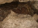 41-strop-jaskini-nietoperzowej